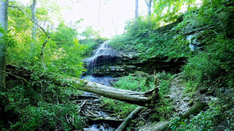 A waterfall surrounded by lush greenery in Englewood MetroPark, Dayton, Ohio