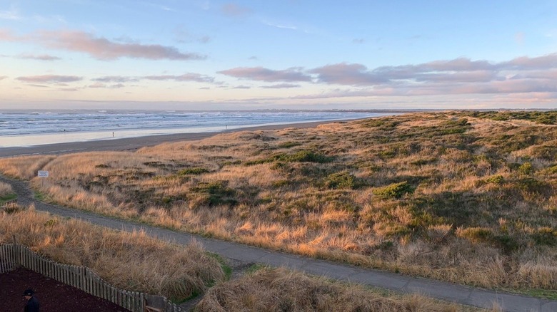 Westport Light State Park, Westport, Washington