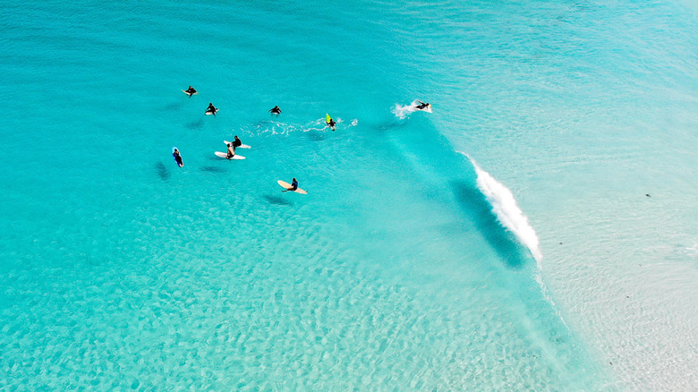 Surfers in crystal-clear turquoise water at Wharton Beach, Western Australia