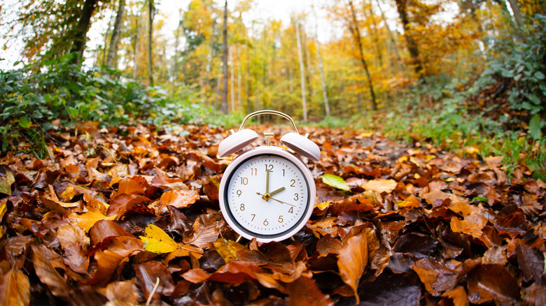 Alarm clock with autumn foliage