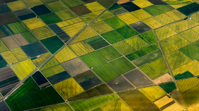 An aerial view of the United States in an area covered in squares