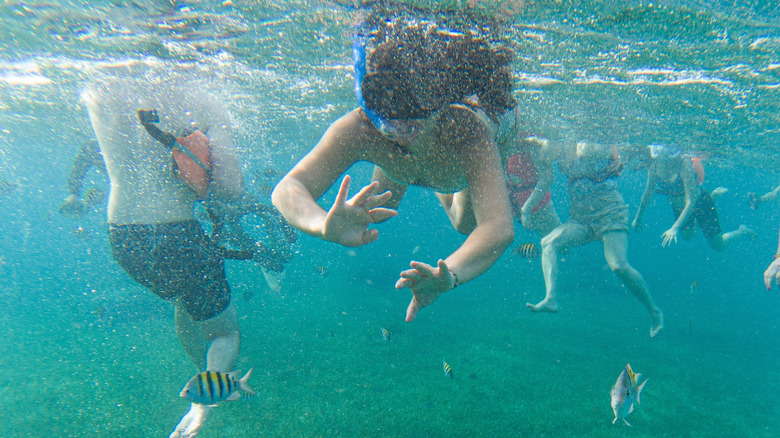 Snorkelers in Cozumel, Mexico.