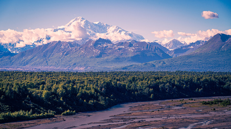 Mount McKinley towers up over Alaskan forest and riverbed