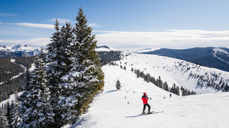 A skier on a snowy piste in Vail, Colorado