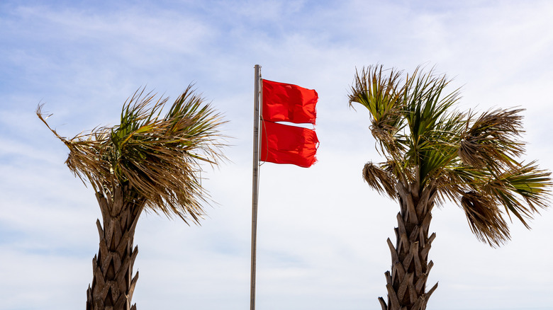 A double red flag flies in the clouded sky while two palm trees frame it, visible being blown furiously by the wind