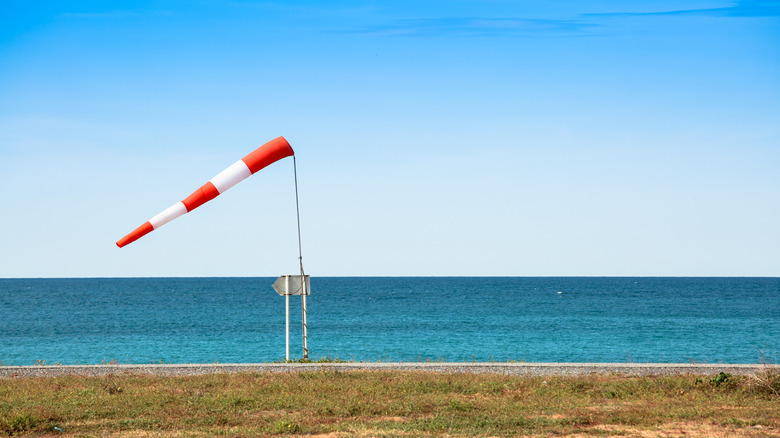 An orange sock with white stripes blows above a placid looking shoreline framed by a grassy lawn