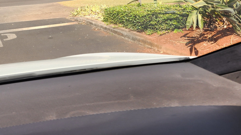 Blue stop sign in O'ahu