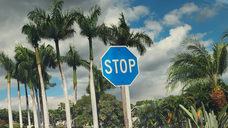 Blue stop sign in O'ahu