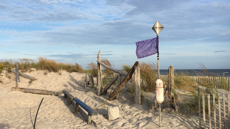 A purple flag flying near a beach entrance with sand dunes and the ocean in the background