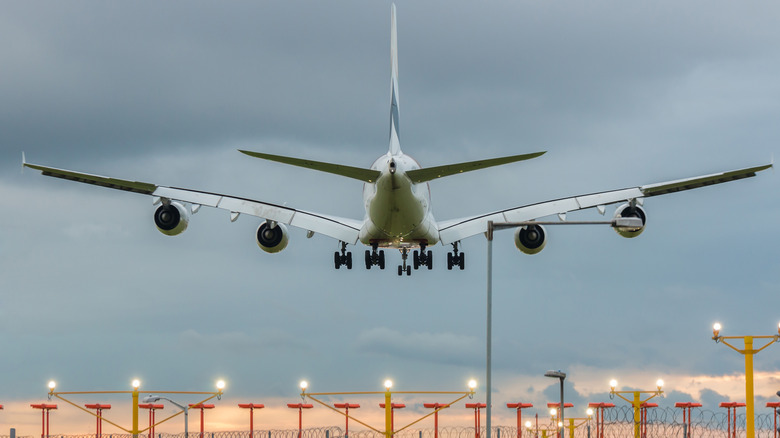 A plane landing at the airport