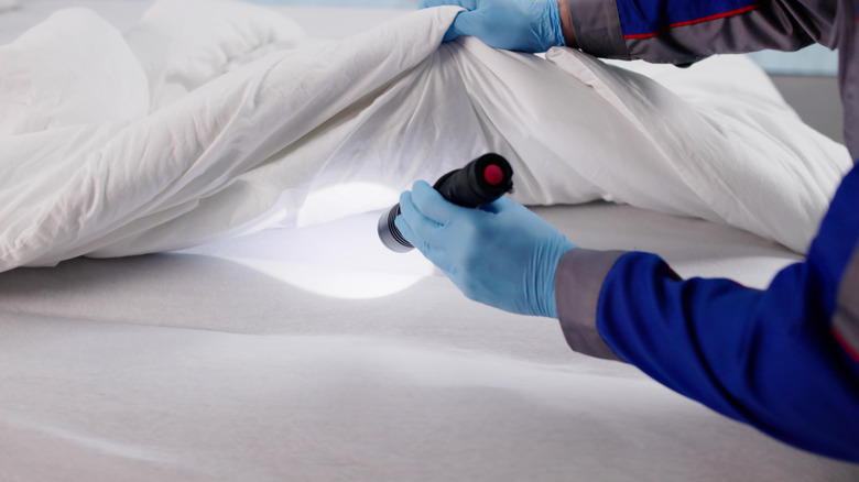 Someone checking a bed for bed bugs with a flashlight
