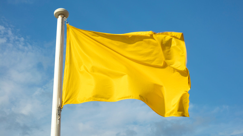 Yellow flag at beach 