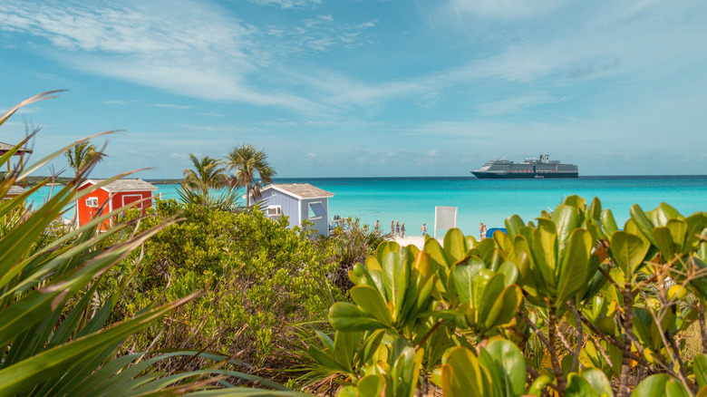 View from a private island looking out toward a cruise ship at anchor