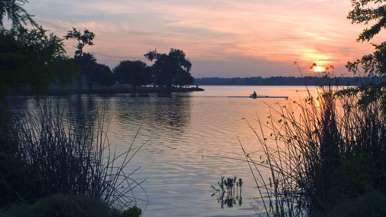 Rower on White Rock Lake in Dallas