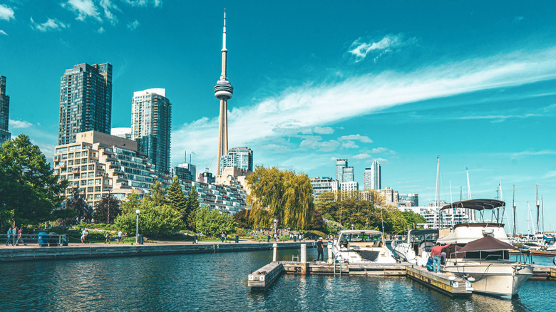 Toronto's skyline from the waterfront