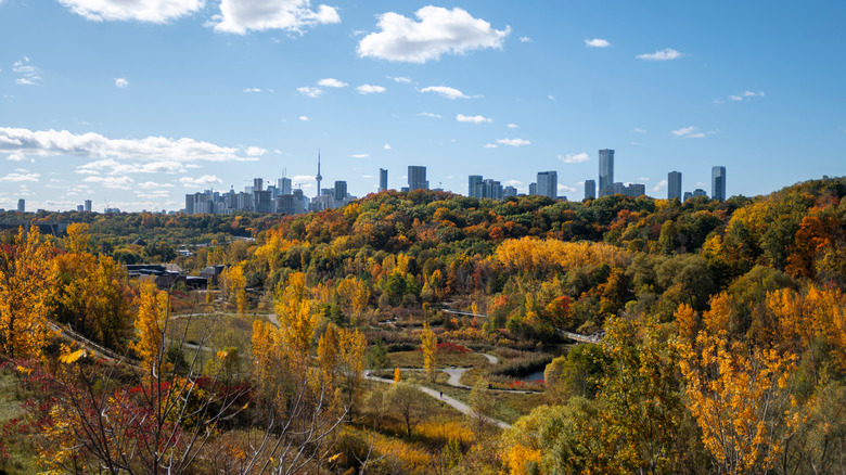 Views of downtown Toronto from the Evergreen Brickworks