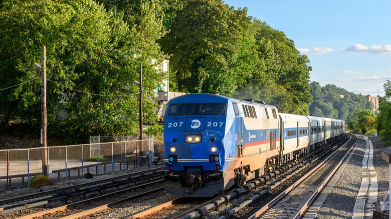 Metro-North Hudson Line train and trees