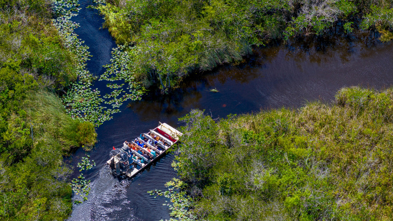 An airboat on a waterway in the Florida Everglades