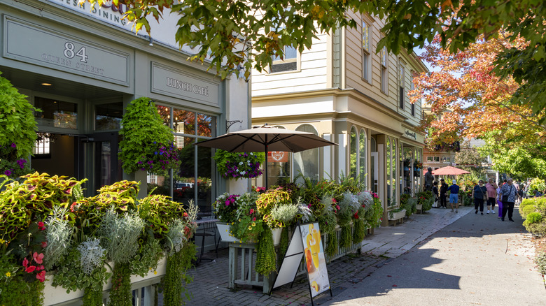 Street lined with trees and plants in Niagara-on-the-Lake