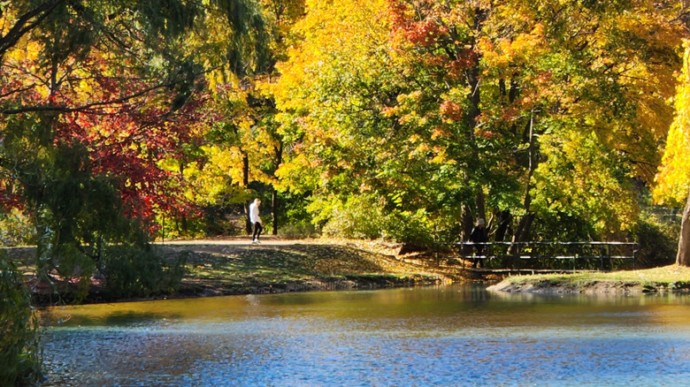 Person walking along water in Dufferin Islands during fall