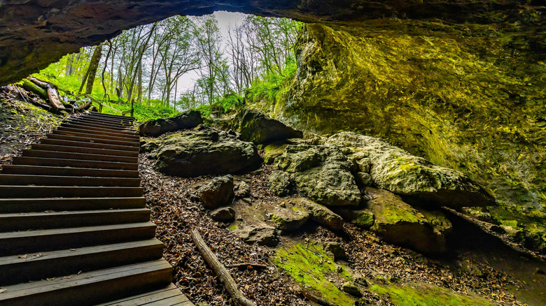 Steps at an entrance to a cave at Maquoketa Caves State Park