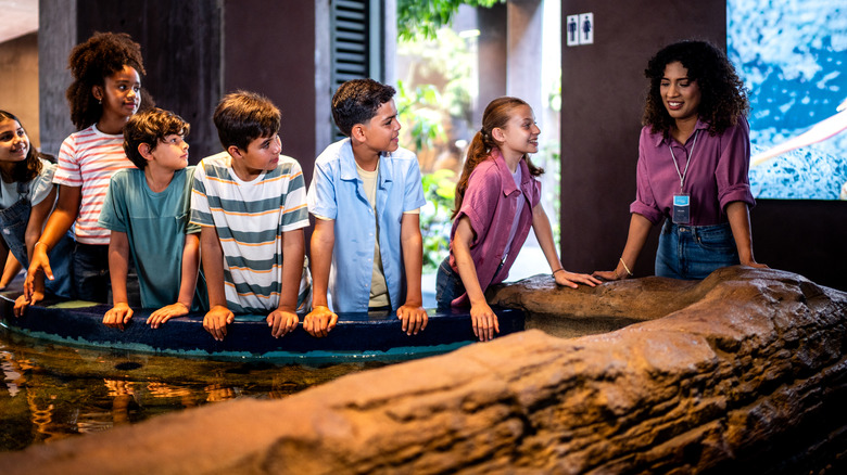 Children observe animals in a touch pool at an aquarium