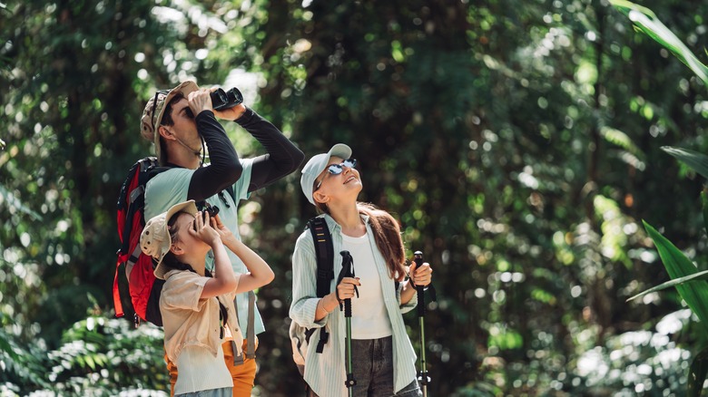 A family observes wildlife through binoculars in a forest