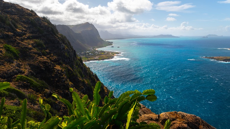 View from mountain in O'ahu Hawaii