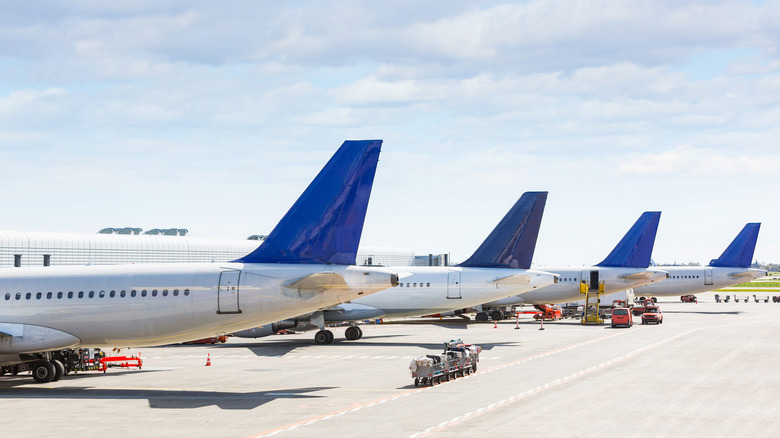 Four airplanes lined up at airport gates