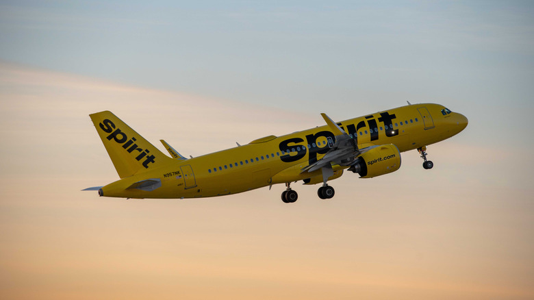 Spirit Airlines plane in air