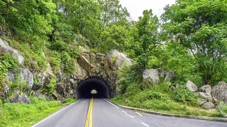 A tunnel through rocks along the Skyline Drive in Shenandoah National Park