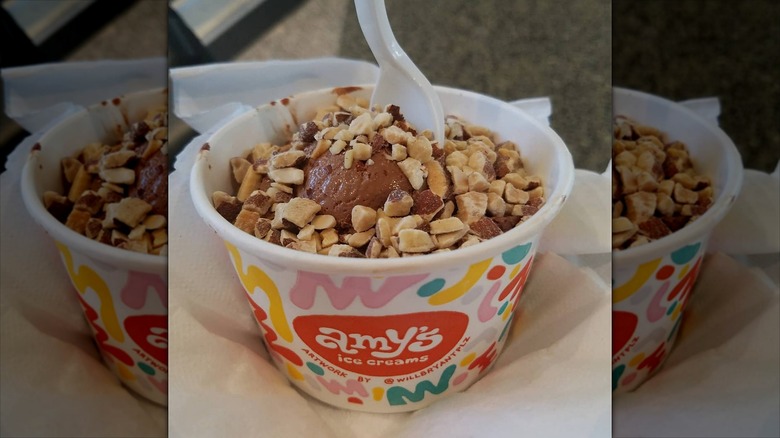 A cup of chocolate ice cream with peanuts on top