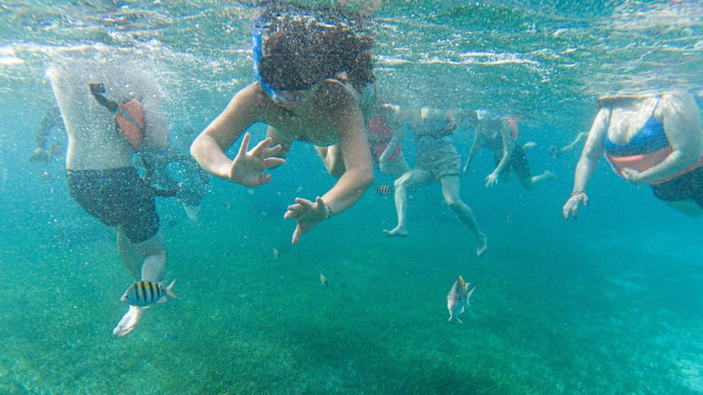 Snorkelers in Cozumel, Mexico.