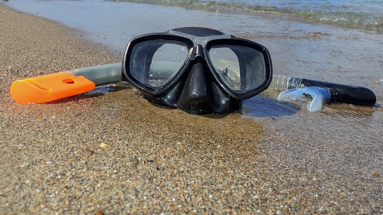 Snorkel and mask left on the sand.