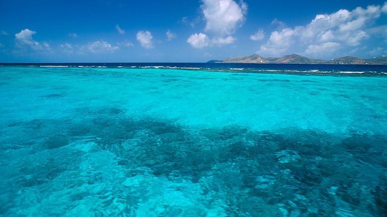 The reef under turquoise waters at Buck island, St. Croix.