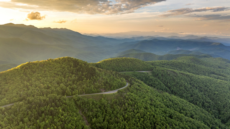 Winding mountain road in North Carolina's Great Smoky Mountains during sunrise