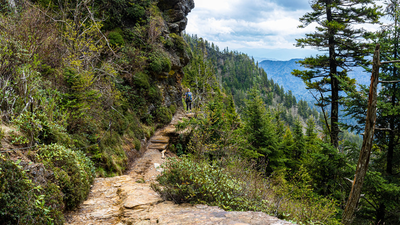 A hiker on the Alum Cave Trail of the Great Smoky Mountains in Tennessee