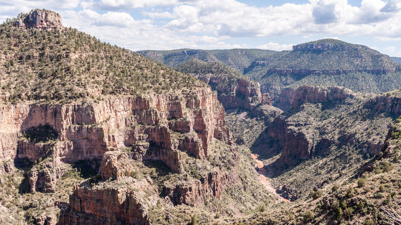 Landscape near Whiteriver Arizona