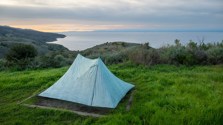 Tent on grassy hill overlooking the ocean in Channel Islands State Park