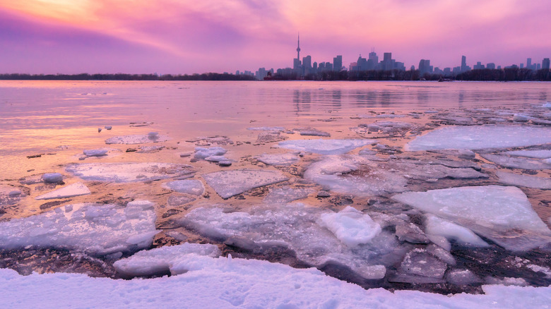 Lake Ontario stretching from an icy shore, with the Toronto skyline in the background, under a pink and purple sky