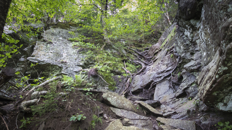 The steep, difficult Devil's Path hiking trail in New York's Catskill Mountains