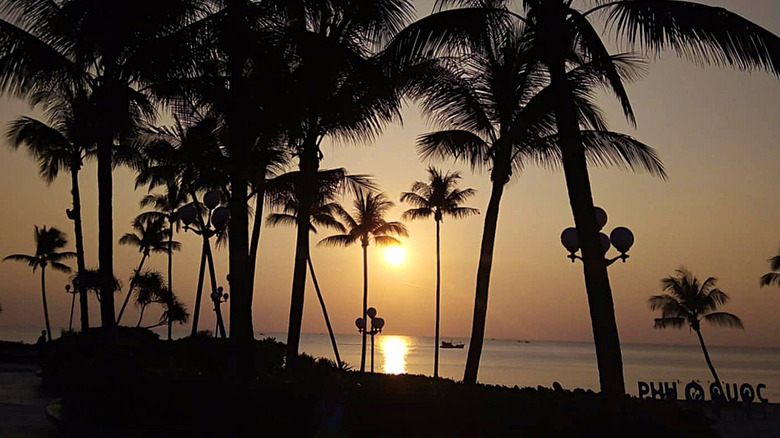 Palm trees silhouetted against the setting sun over the water in Phú Quốc