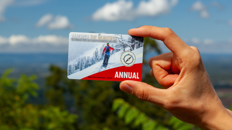 Hand holding America the Beautiful pass against outdoor background