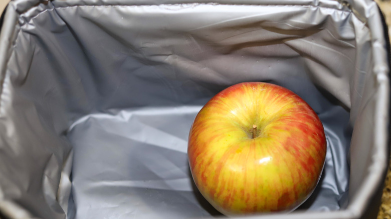 An apple sits in a travel lunch box.