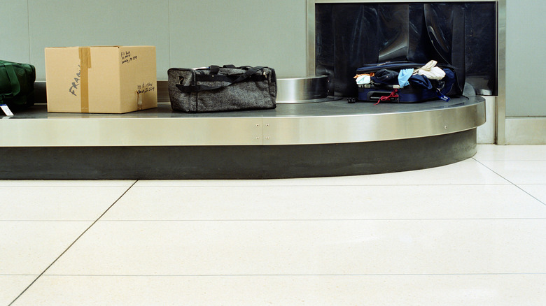 Checked luggage enters the baggage claim area.
