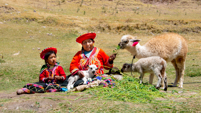 An Indigenous woman and little girl in traditional Andean clothing sit on grass with baby animals, including a llama, alpaca, and lamb