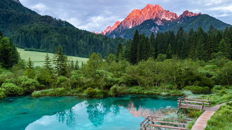 Zelenci Natural Reserve in the Julian Alps, Slovenia