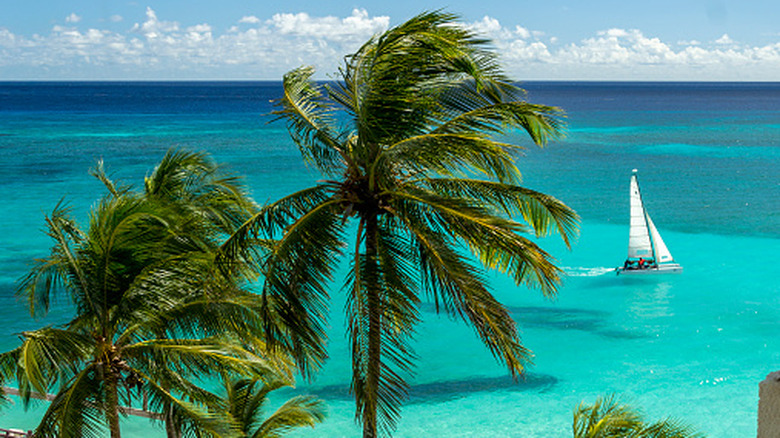 A sailboat off the coast of Barbados
