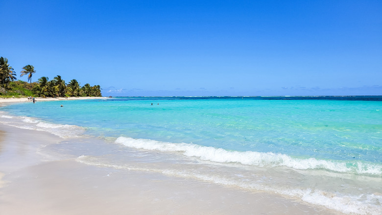 a scenic beach with white sand and turquoise waters in Puerto Rico