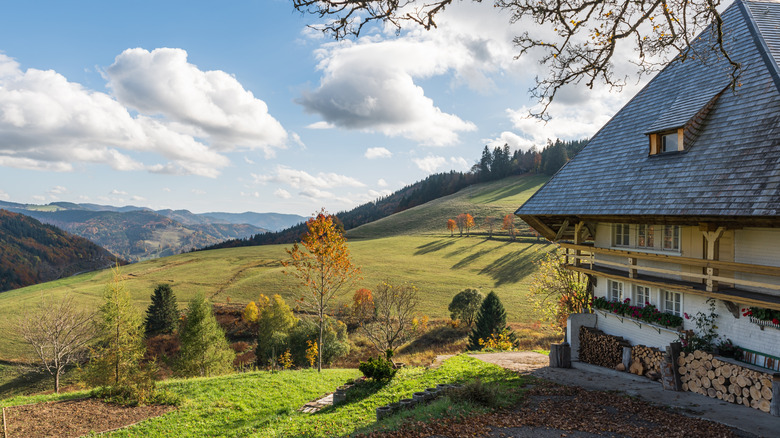 Historic farmhouse in the Black Forest of Germany